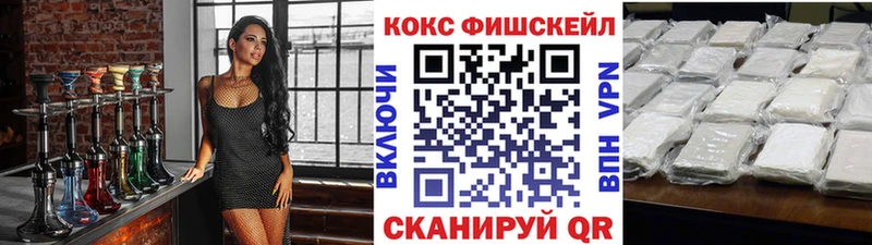 наркота  Елизово  Кокаин Эквадор 