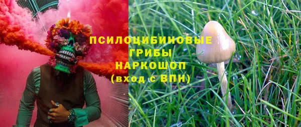 прущая мука Кулебаки