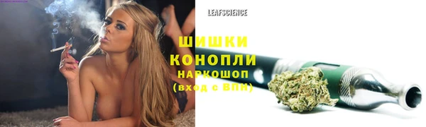 ПСИЛОЦИБИНОВЫЕ ГРИБЫ Кукмор