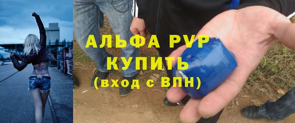 ПСИЛОЦИБИНОВЫЕ ГРИБЫ Кукмор
