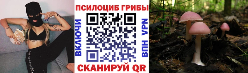 Галлюциногенные грибы прущие грибы Елизово