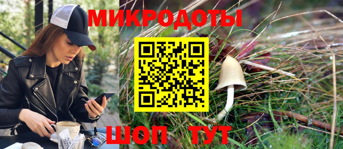 Галлюциногенные грибы Cubensis  Вход с VPN  Елизово 