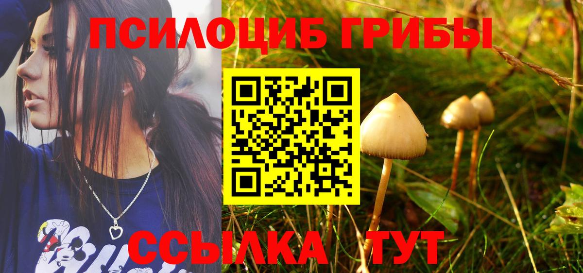 Псилоцибиновые грибы Psilocybine cubensis Елизово