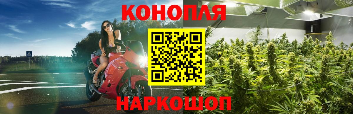 Бошки марихуана THC 21% Елизово